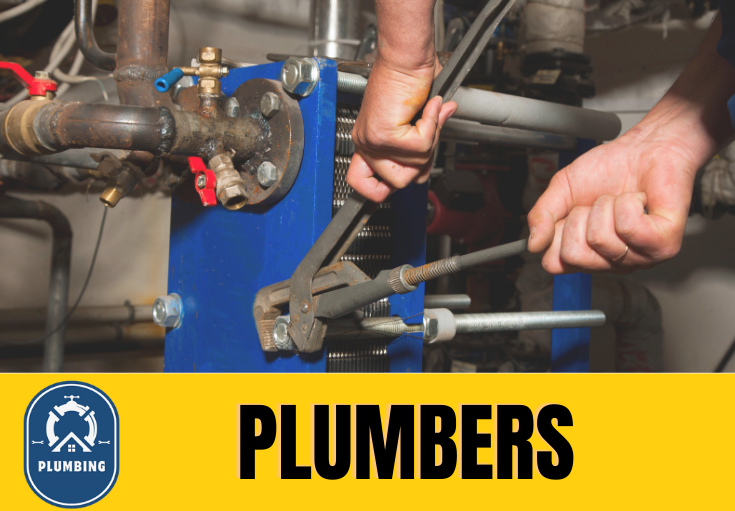  plumber Eynsford